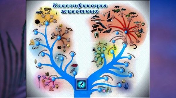 §10 "Разнообразие живого", Биология 5 класс, Сивоглазов, Плешаков.mp4