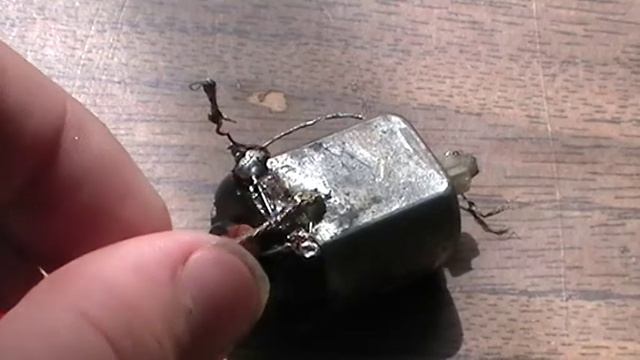 Как научится правильно паять?Уроки пояния. смотреть онлайн