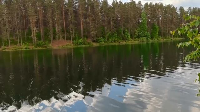 ХОЛОДНЫЙ БОРЩ по - Лодейнопольски/ Нашла способ борьбы с улитками/ Золотые помощники смотреть онлайн