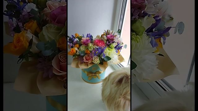 Помощник флориста. Florist assistant. смотреть онлайн