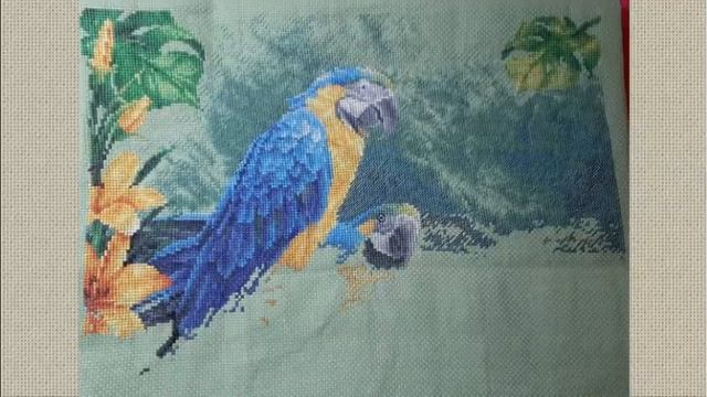 Отчет За Июль 2021/СП "Райский сад" (птицы, цветы, бабочки)/вышивка крестом/#juliacreation смотреть онлайн