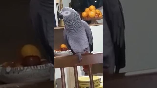 простила маму... мама знает как курочка делает. смотреть онлайн