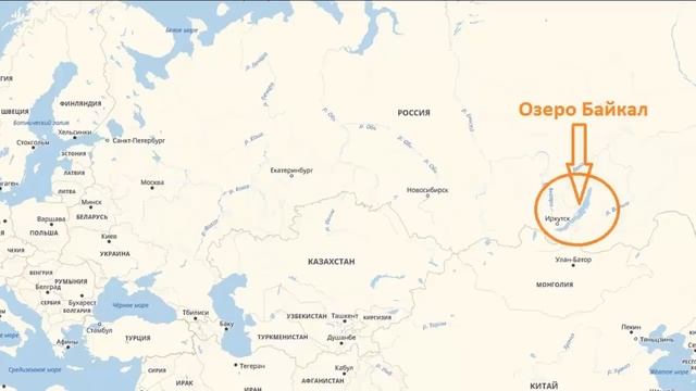 БОКОПЛАВЫ - Разноногие рачки смотреть онлайн