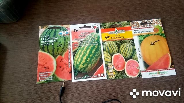 Арбузы для Сибири на 2020 год. Обзор. смотреть онлайн