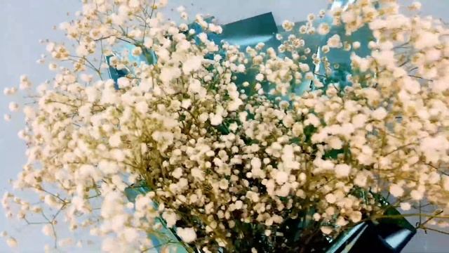 Монобукет из Гипсофилы Вечерняя Роса - Доставка цветов в Волгограде – DOBRO34.RU смотреть онлайн