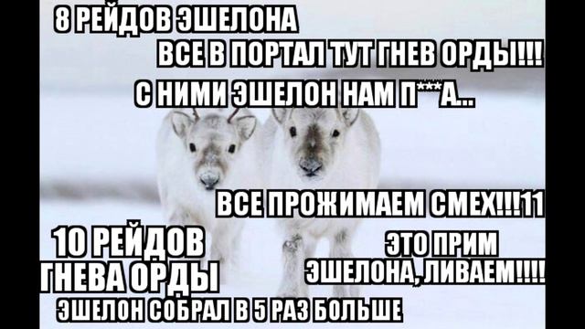 "Гхоги, почему туч нету?" (С) Теринама (Смертельный Союз) смотреть онлайн