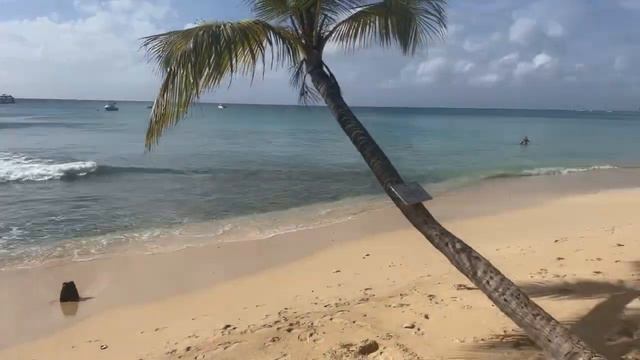 Beach Walk Barbados Live смотреть онлайн