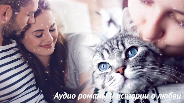 Кот Каспер и его хозяин ищет себе возлюбленную Любовные истории Рассказы Жизненные истории смотреть онлайн