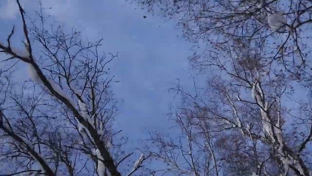 Снегоходный маршрут "Знакомство с Сибирью" смотреть онлайн