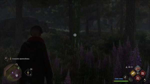 Hogwarts Legacy • ФАНТАСТИЧЕСКИЕ СУЩЕСТВА ▶