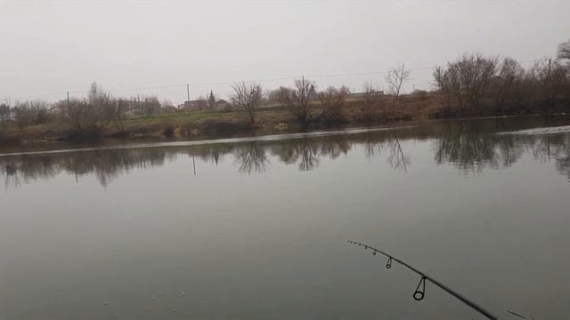 Раздача хорошего окуня на спиннинг Доюй black dragon 0.5 - 5. Ловлю на отводной поводок! смотреть онлайн