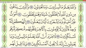 Шейх Айман Сувейд сура Ан Нахль стр 269
