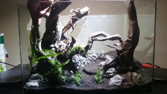 Оформление аквариума в природном стиле от студии Аквапространства смотреть онлайн