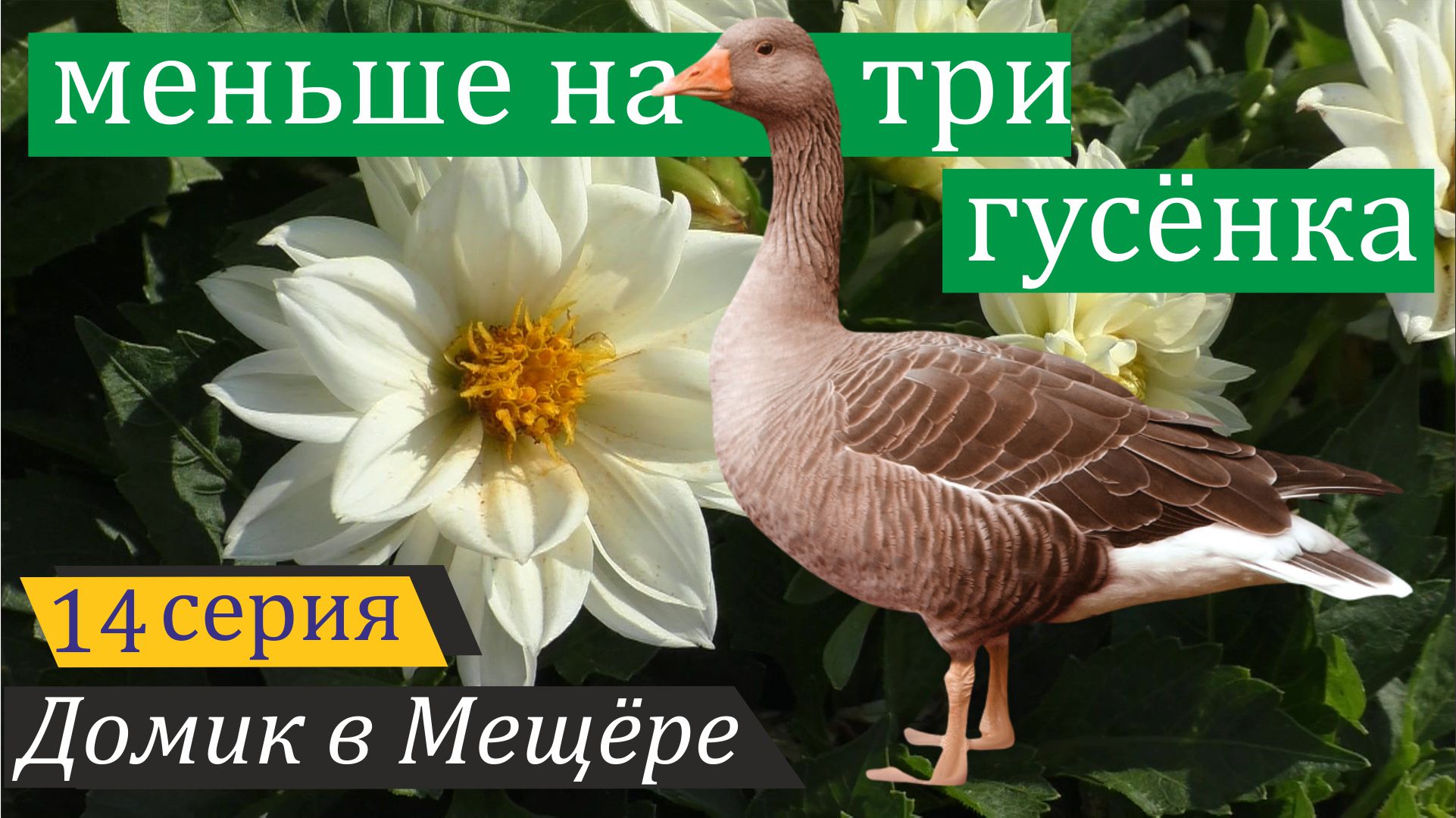 Радости и горести подмосковного отшельника. Домик в Мещёре, серия 14 смотреть онлайн