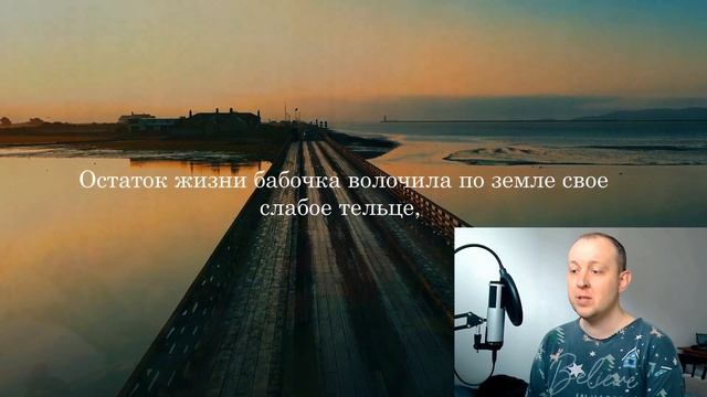 Есть Люди Которые Также Живут в ОБОЛОЧКЕ | Притча Про Бабочку смотреть онлайн