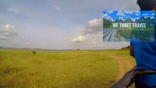 Kaudulla National Park Sri Lanka | Miraculous Elephant Jeep Safari Sri Lanka смотреть онлайн