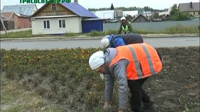 Время собирать цветы смотреть онлайн