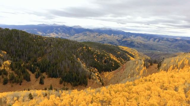 My Bigfoot Sighting Episode 36 - I Wasn’t Expecting to See a 12-Foot Sasquatch! смотреть онлайн