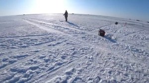 ЭТО НАДО ВИДЕТЬ! СЛОЙ ОМУЛЯ 20 МЕТРОВ! РЫБАЛКА НА БАЙКАЛЕ!