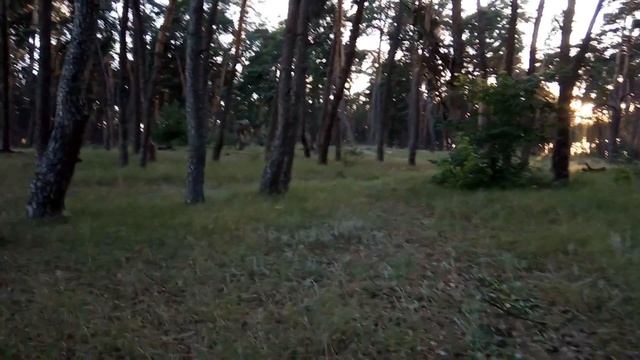 ТЕСТ ВИДЕОКАМЕРЫ НА XIAOMI REDMI 6A test video xiaomi redmi 6a смотреть онлайн