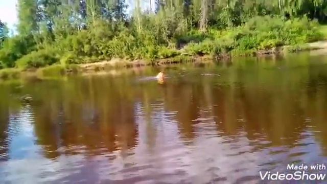 Проверка спасательного жилета на 120 кг. смотреть онлайн