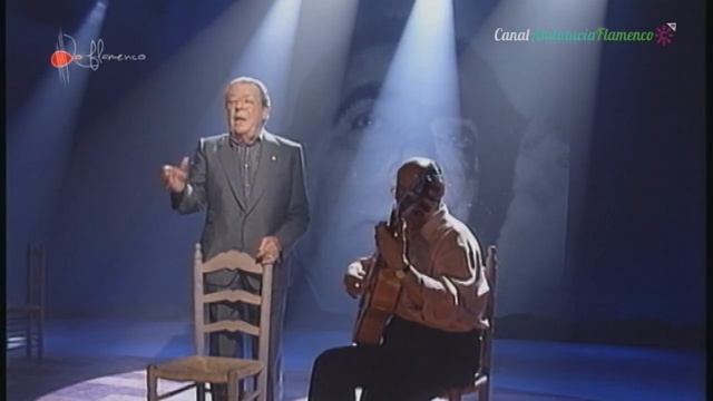 Tientos y Zambra. Collantes de Terán. 1996 смотреть онлайн
