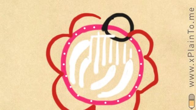 Городецкая роза смотреть онлайн