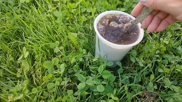 242. НЕОБХОДИМАЯ ТОМАТАМ фосфорно-калийная подкормка. ТОМАТЫ будут сладкие! смотреть онлайн