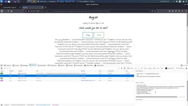 TryHackMe - Dogcat - LFI and Docker смотреть онлайн