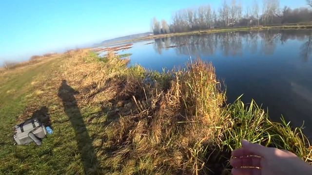 ЗАЧЕМ МУДРИТЬ ЕСЛИ НА НЕГО КЛЮЁТ!!! Пассивная щука на спиннинг в декабре. Рыбалка на спиннинг зимой смотреть онлайн