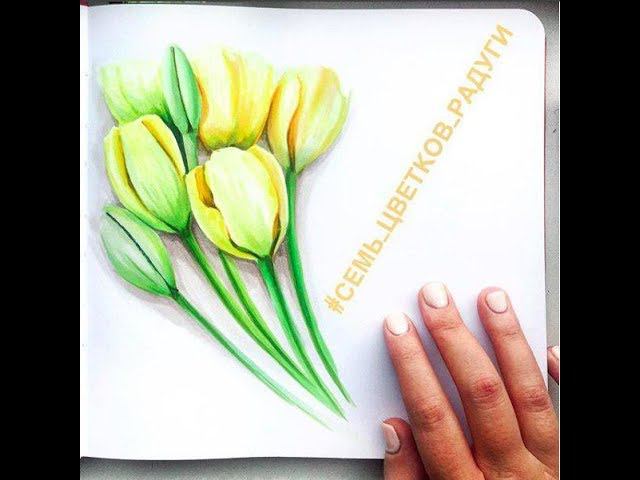 Yellow tulips marker speedpaint | Желтые тюльпаны спиртовыми маркерами смотреть онлайн