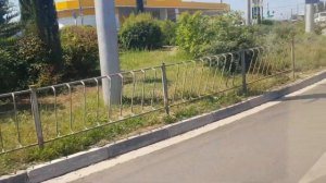 Севастопольский Троллейбус На Тролза 5265.02 Мегаполис с ул.Горпищенко-б. Камышовая 2Часть 27.05.22