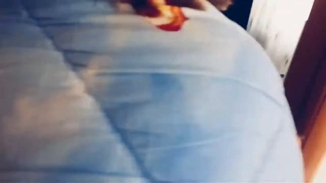 ОСА В КВАРТИРЕ!