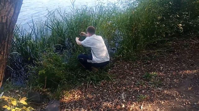 Щука на вершу смотреть онлайн