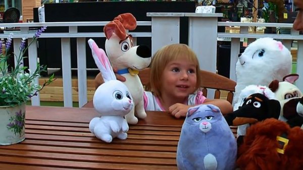 SIMA и Тайная Жизнь Домашних Животных игрушки SIMA and The Secret Life of Pets toys