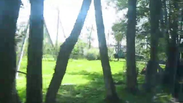 Куршская коса Приехали в Морское смотреть онлайн