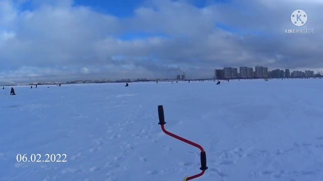 Чехонь на Казакова ( финский залив ) смотреть онлайн