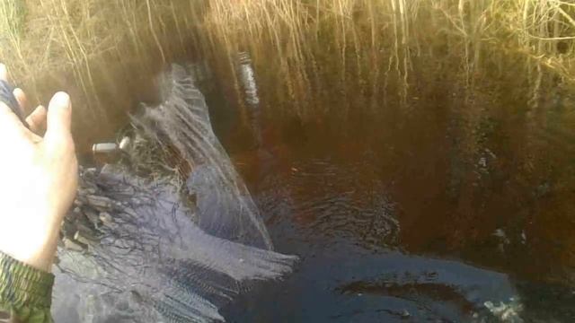 КИТАЙСКИЕ СЕТИ. КАК ПОСТАВИТЬ СЕТЬ С ЛОДКИ. Ловля сетью в одиночку. Установка сети одной рукой.