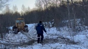 Бульдозер ЧТЗ Т130 Т170 работа в делянке.