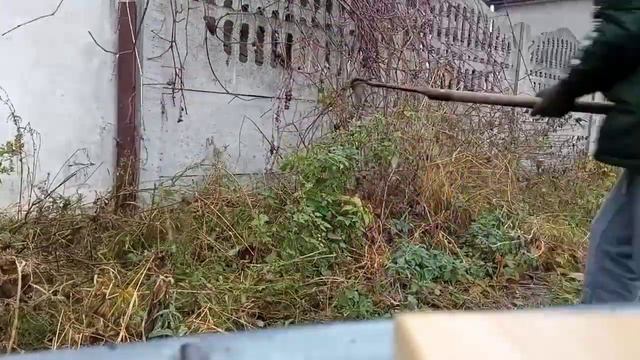 мой огород красота срываю подсолнух смотреть онлайн