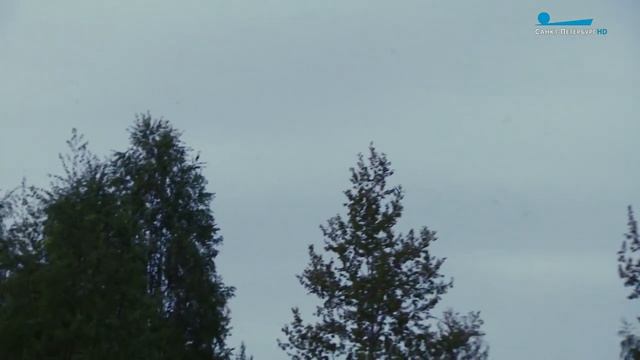 «Дикие выходные с Павлом Глазковым». Заказник «Южное побережье Невской губы» смотреть онлайн