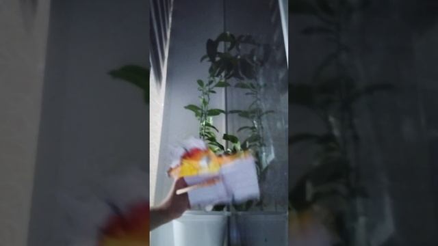 что произошло где мракела блин смотреть онлайн