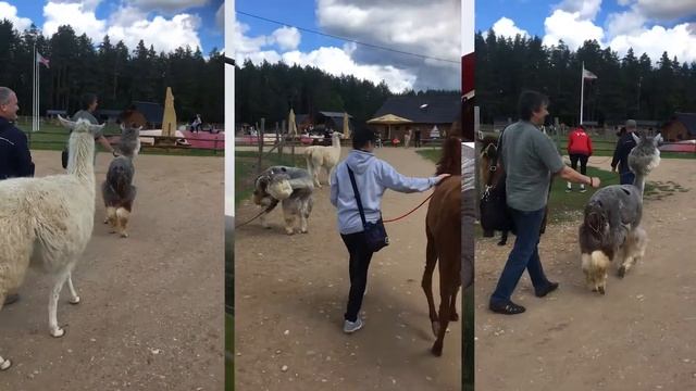 Путешествие по Латвии. Цесис и Сигулда