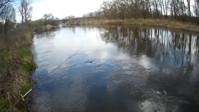 Ловля голавля на реке весной. Северский Донец рыбалка на Голавля. смотреть онлайн