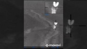 Охота с тепловизором на Волка