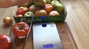 Сорт томата от Зураба Кухианидзе. Фаворит сезона 2022