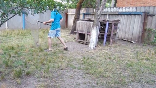 Охота на кроликов смотреть онлайн