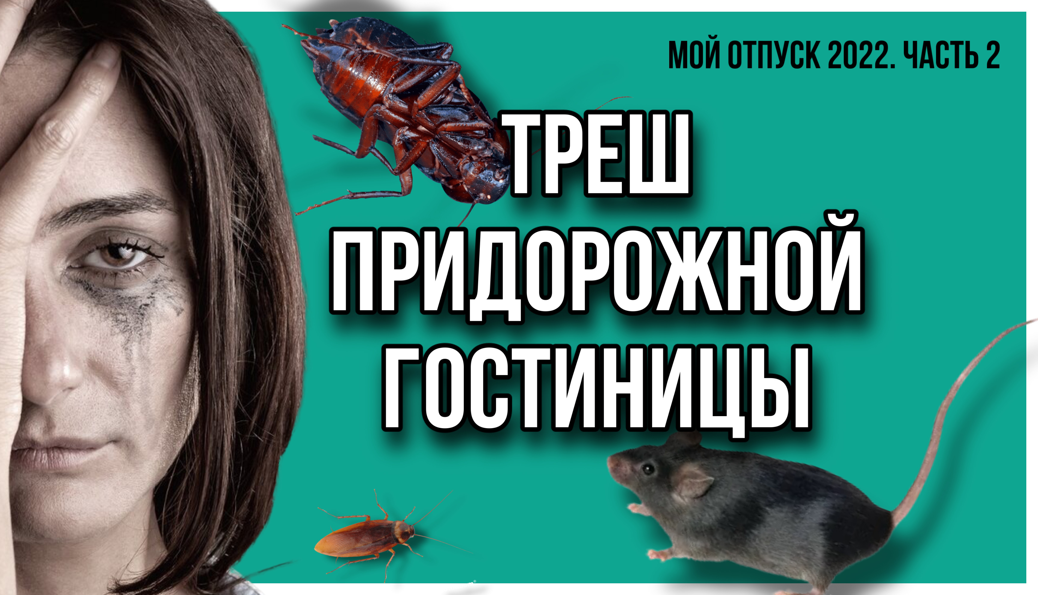 ТРЕШ ПРИДОРОЖНОЙ ГОСТИНИЦЫ /жесть/ужас/гостиница/мотель/Крым/Кавказ/Ставрополь/Воронеж/чёрное море смотреть онлайн