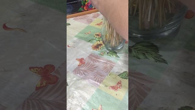 Все что нужно для Фуд-флористике смотреть онлайн