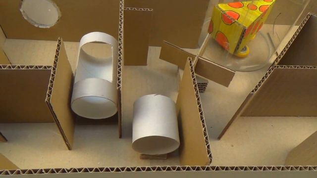 How to Build Labyrinth with a racecourse for your hamster смотреть онлайн